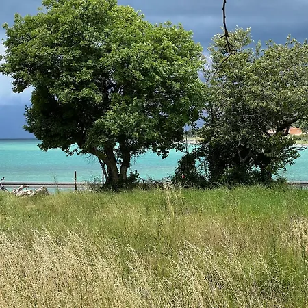 Eukaliptus-umag-30m From The Sea Apartman