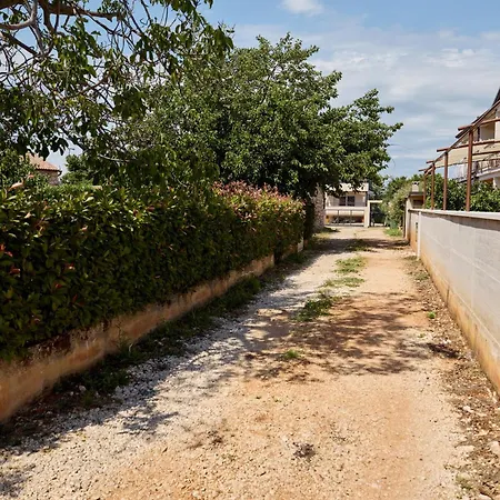 Eukaliptus-umag-30m From The Sea Sveti Ivan (Istria)